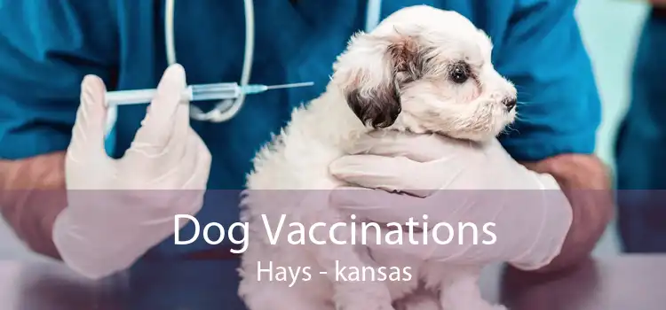 Dog Vaccinations Hays - kansas