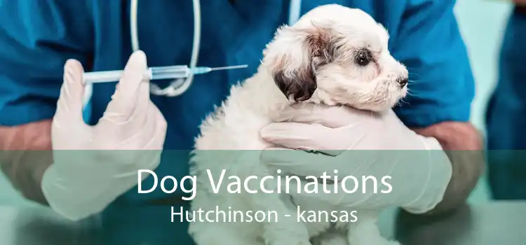 Dog Vaccinations Hutchinson - kansas