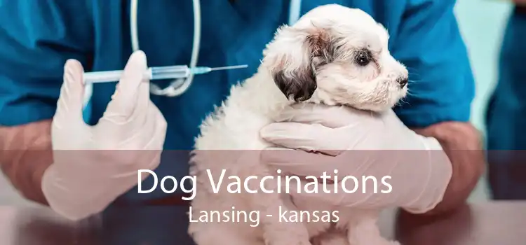 Dog Vaccinations Lansing - kansas