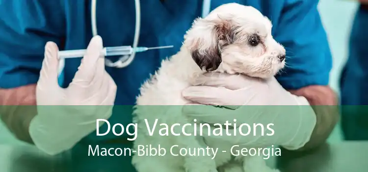 Dog Vaccinations Macon-Bibb County - Georgia