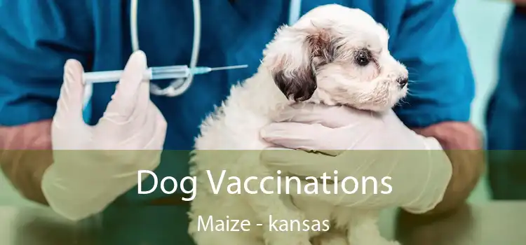 Dog Vaccinations Maize - kansas