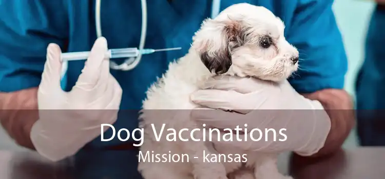 Dog Vaccinations Mission - kansas