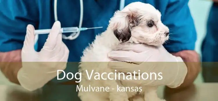 Dog Vaccinations Mulvane - kansas