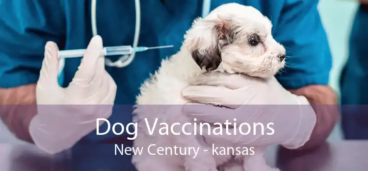 Dog Vaccinations New Century - kansas