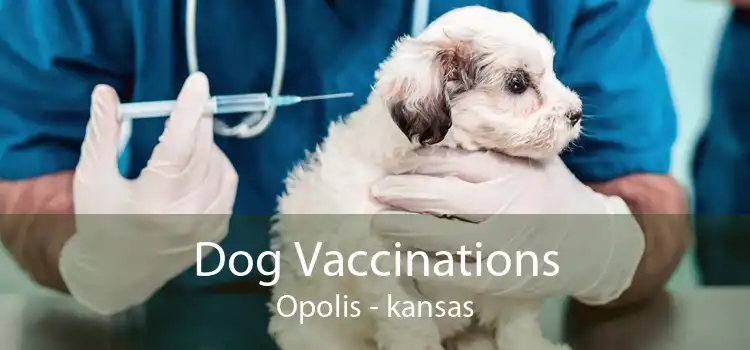 Dog Vaccinations Opolis - kansas