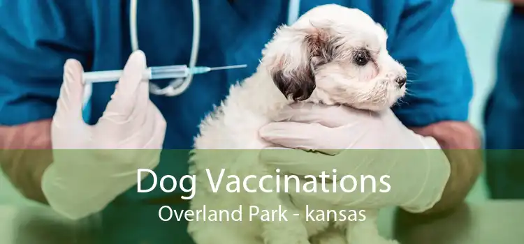 Dog Vaccinations Overland Park - kansas