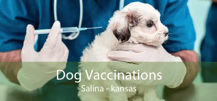 Dog Vaccinations Salina - kansas