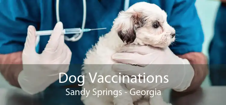 Dog Vaccinations Sandy Springs - Georgia