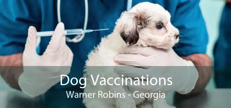 Dog Vaccinations Warner Robins - Georgia