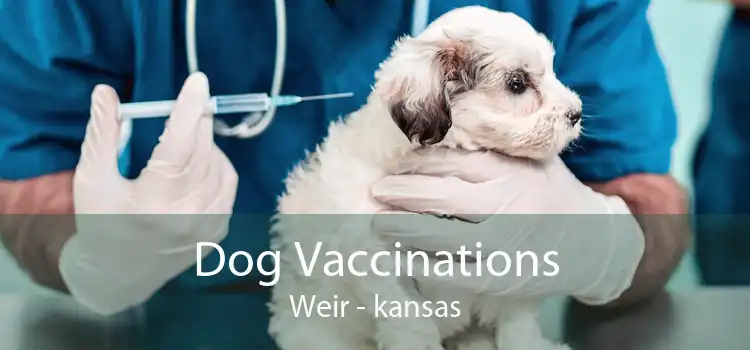 Dog Vaccinations Weir - kansas