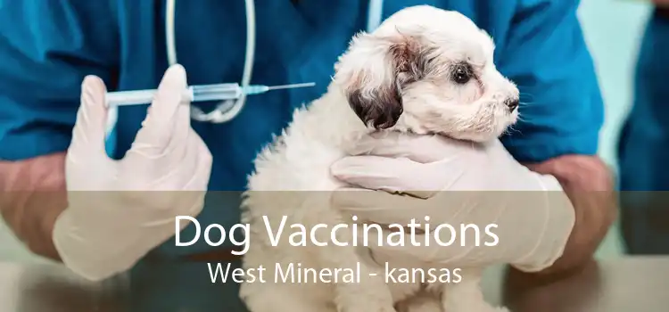 Dog Vaccinations West Mineral - kansas