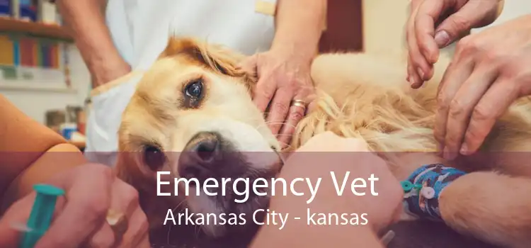Emergency Vet Arkansas City - kansas