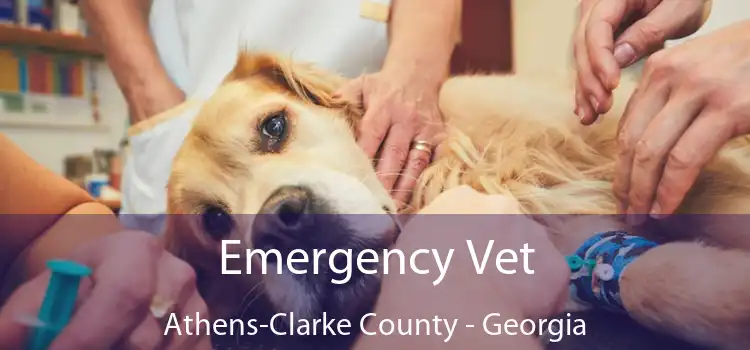 Emergency Vet Athens-Clarke County - Georgia