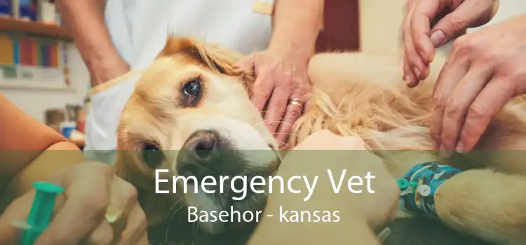 Emergency Vet Basehor - kansas