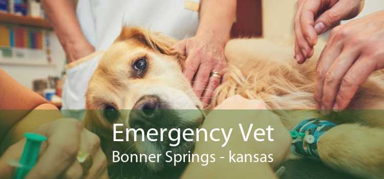 emergency vet bonner springs kansas