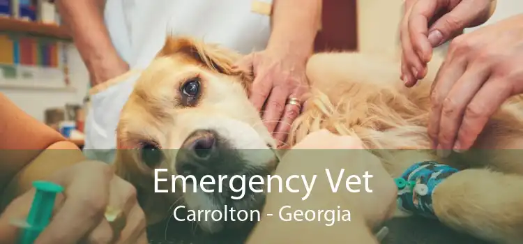 Emergency Vet Carrolton - Georgia