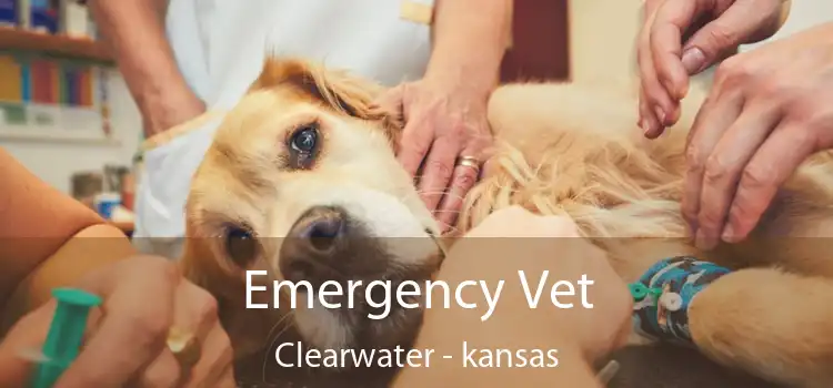 Emergency Vet Clearwater - kansas