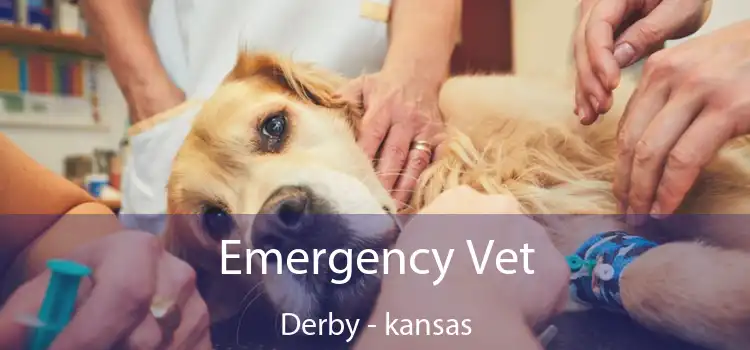 Emergency Vet Derby - kansas