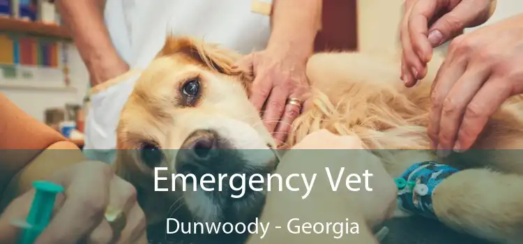 Emergency Vet Dunwoody - Georgia