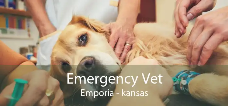 Emergency Vet Emporia - kansas