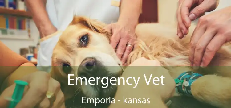 Emergency Vet Emporia - kansas