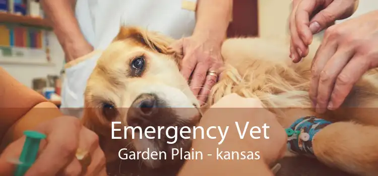 Emergency Vet Garden Plain - kansas