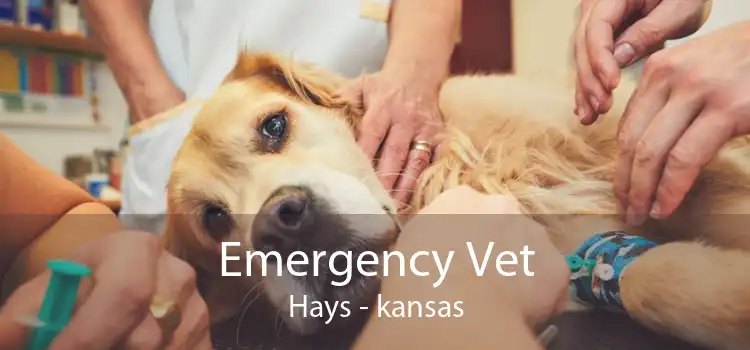 Emergency Vet Hays - kansas