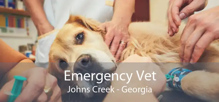 Emergency Vet Johns Creek - Georgia