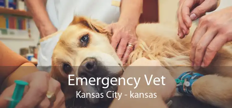 Emergency Vet Kansas City - kansas