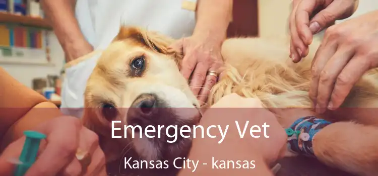 Emergency Vet Kansas City - kansas