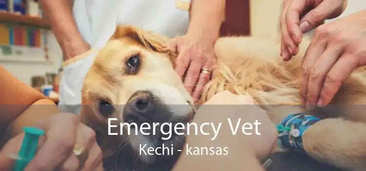 Emergency Vet Kechi - kansas