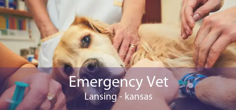 Emergency Vet Lansing - kansas