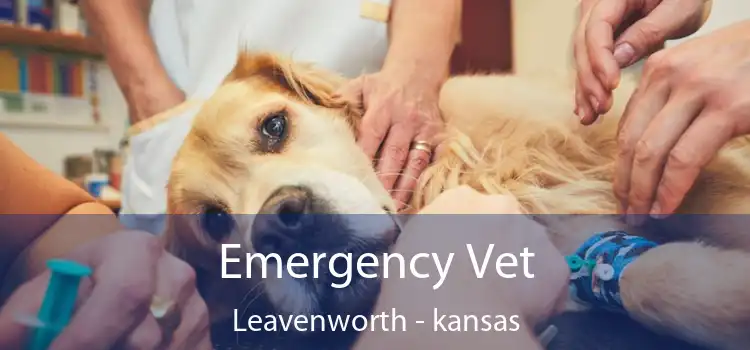 Emergency Vet Leavenworth - kansas