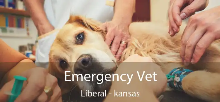 Emergency Vet Liberal - kansas