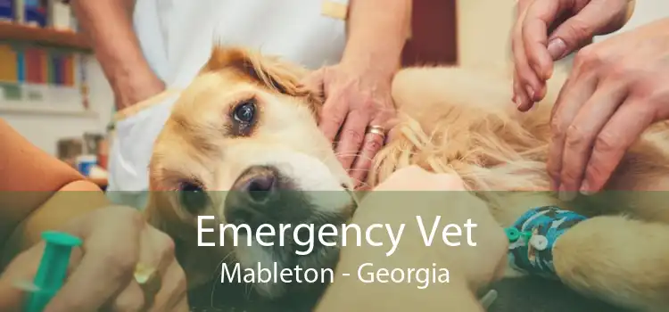Emergency Vet Mableton - Georgia