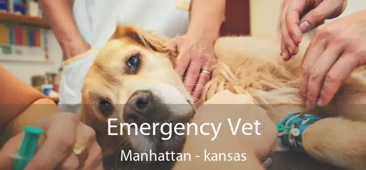 Emergency Vet Manhattan - kansas