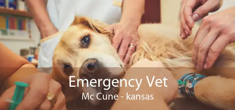 Emergency Vet Mc Cune - kansas