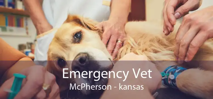 Emergency Vet McPherson - kansas