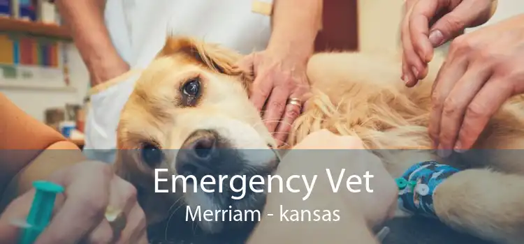 Emergency Vet Merriam - kansas