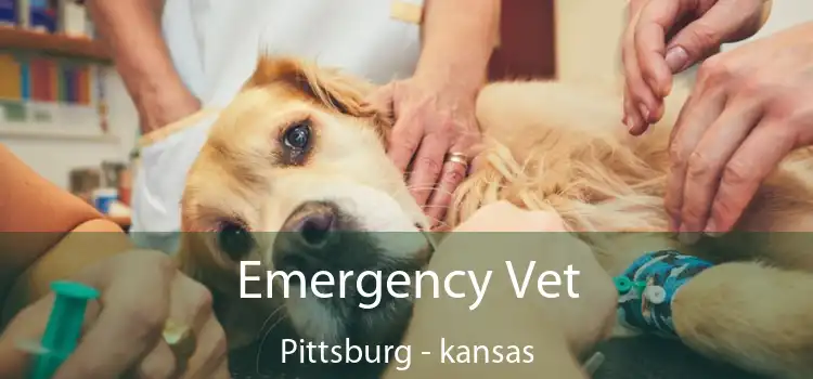 Emergency Vet Pittsburg - kansas