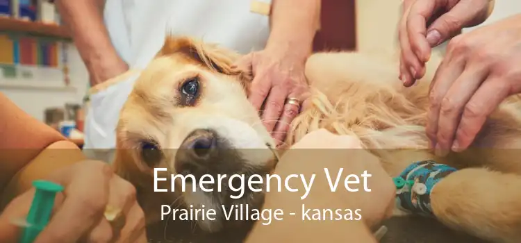 Emergency Vet Prairie Village - kansas