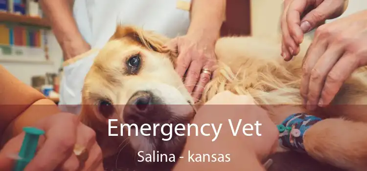 Emergency Vet Salina - kansas