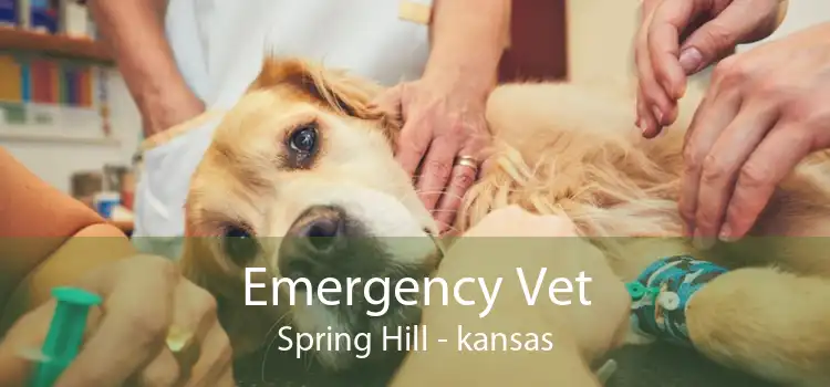 Emergency Vet Spring Hill - kansas