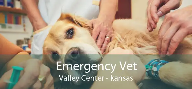 Emergency Vet Valley Center - kansas