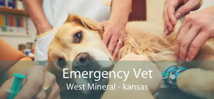 Emergency Vet West Mineral - kansas