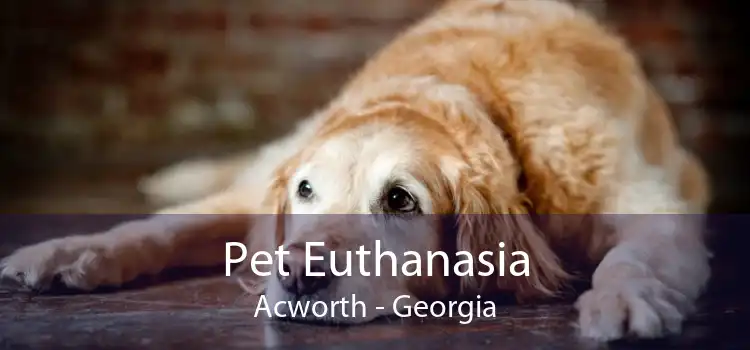 Pet Euthanasia Acworth - Georgia
