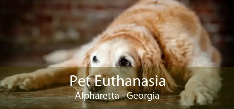 Pet Euthanasia Alpharetta - Georgia