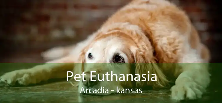 Pet Euthanasia Arcadia - kansas