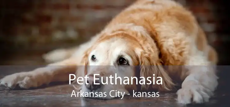 Pet Euthanasia Arkansas City - kansas