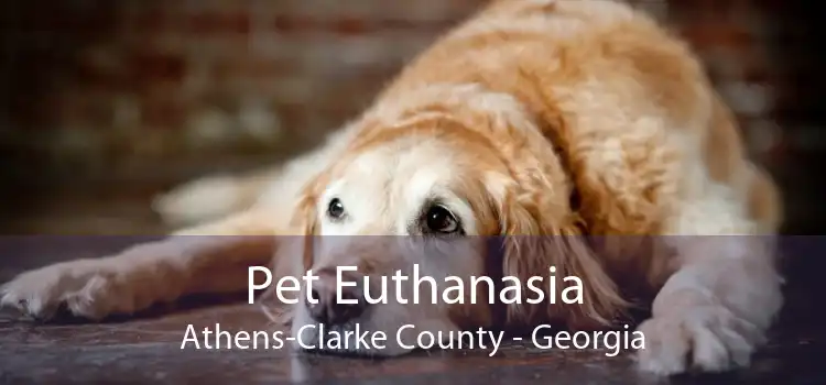 Pet Euthanasia Athens-Clarke County - Georgia
